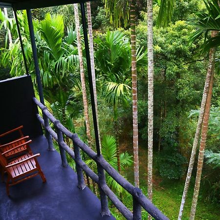 Cool Garden Belihuloyaホステル エクステリア 写真